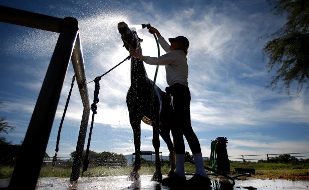 Business brisk at TROT event   