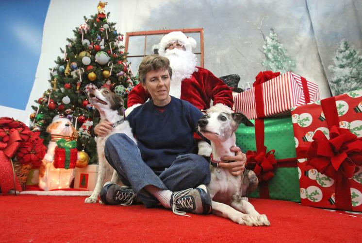 Canine valley fever vaccine