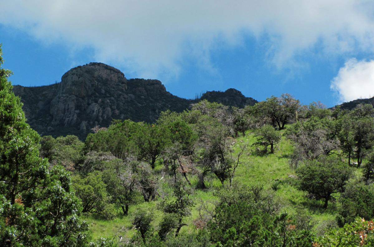 Get Outside The Best Hikes In And Around Tucson Photos By