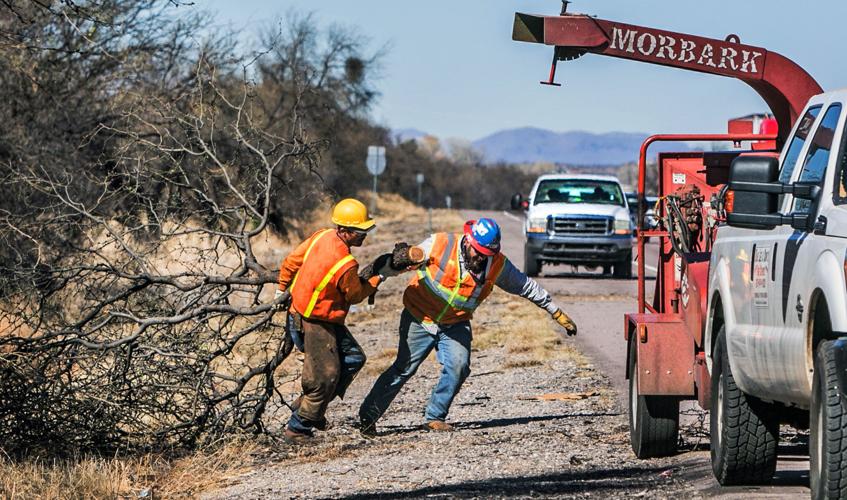Clearing trees on I-19