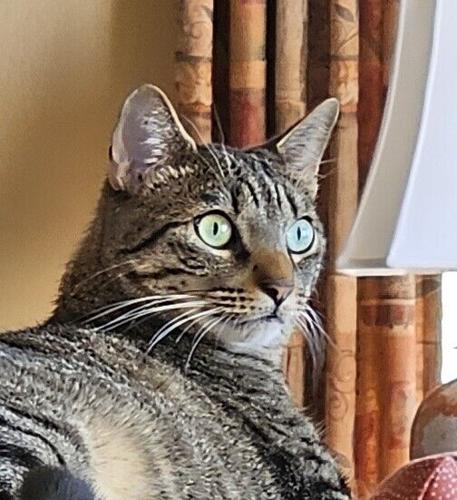 Zeke