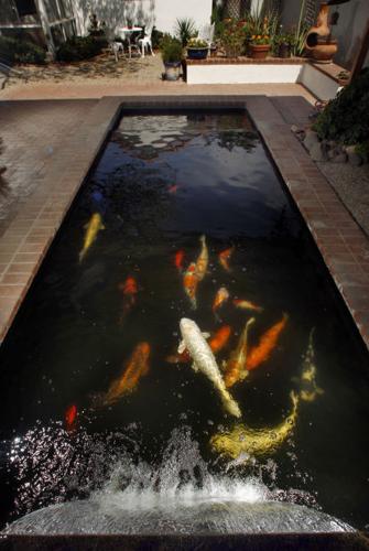 New uses for old swimming pools    