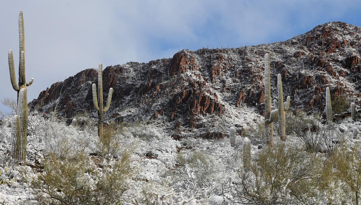 A bunch of photos of today's snow across Tucson ️💕 tucson life