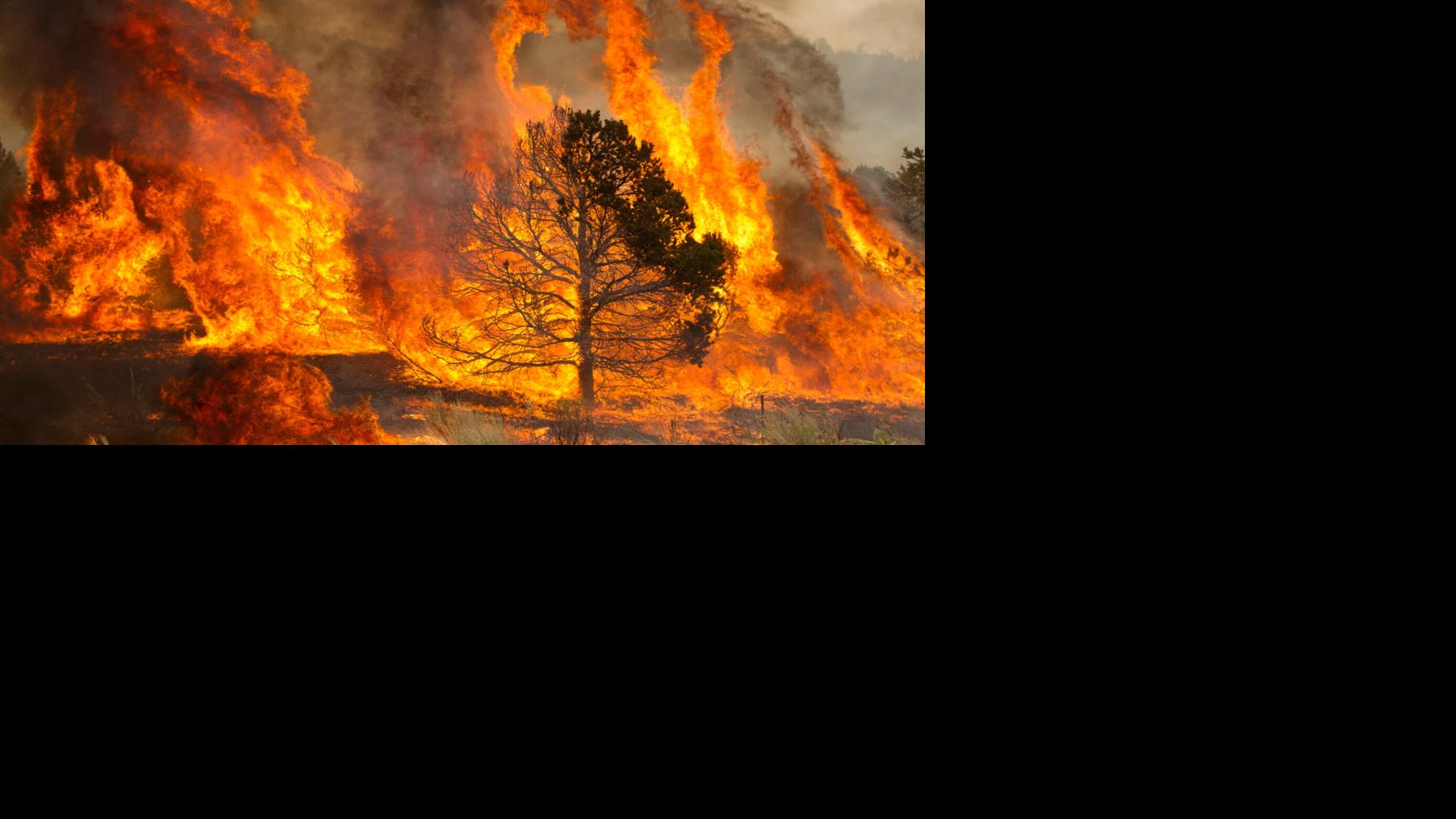 Massive Grand Canyon fire could sway wildfire tactics in Arizona