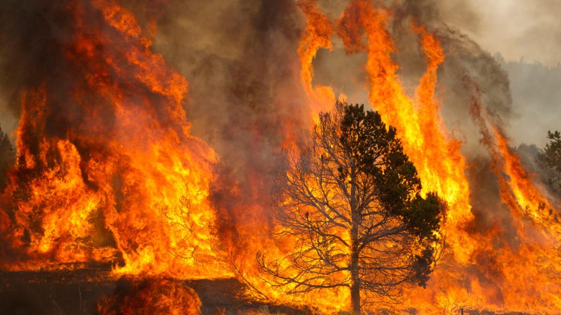 Massive Grand Canyon fire could sway wildfire tactics in Arizona