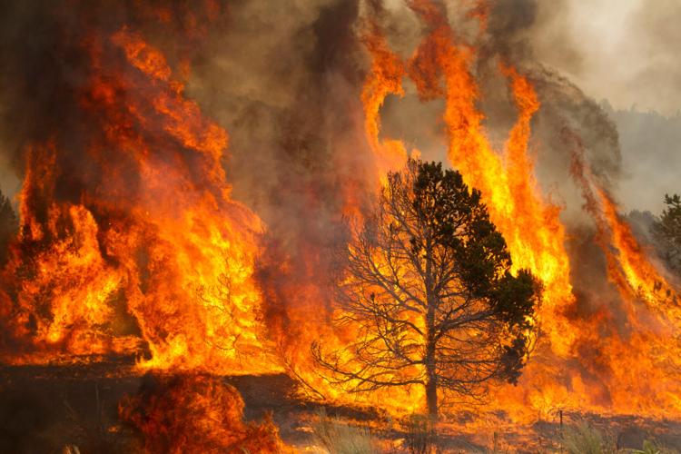 Massive Grand Canyon fire could sway wildfire tactics in Arizona
