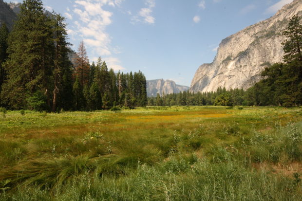 National Park Travel Photo Contest entries