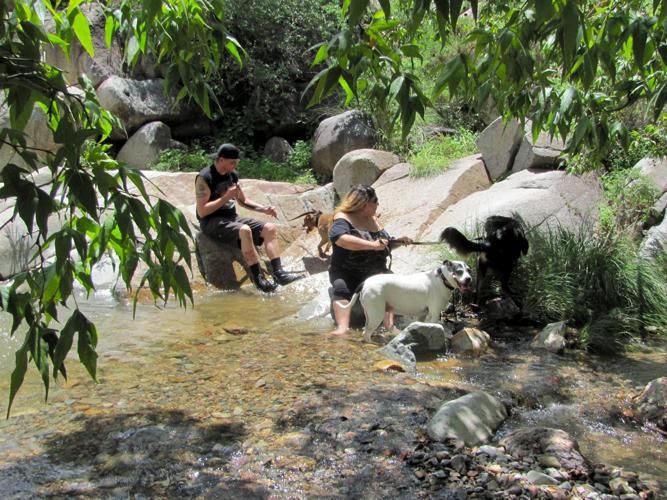 Hikers in Madera Canyon
