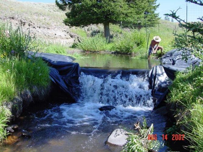Fake beaver dam