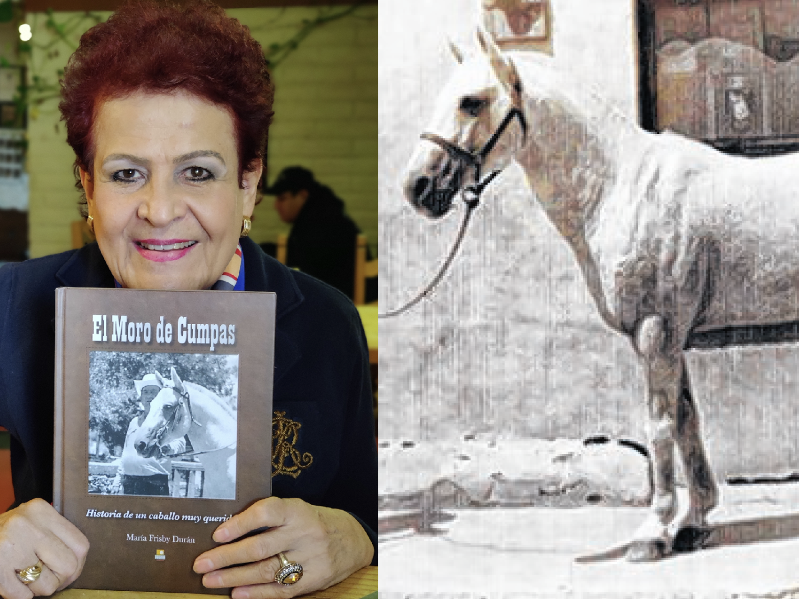 María Frisby Escribe La Historia Del Moro De Cumpas El Caballo De Su Papá Gente Tucson Com