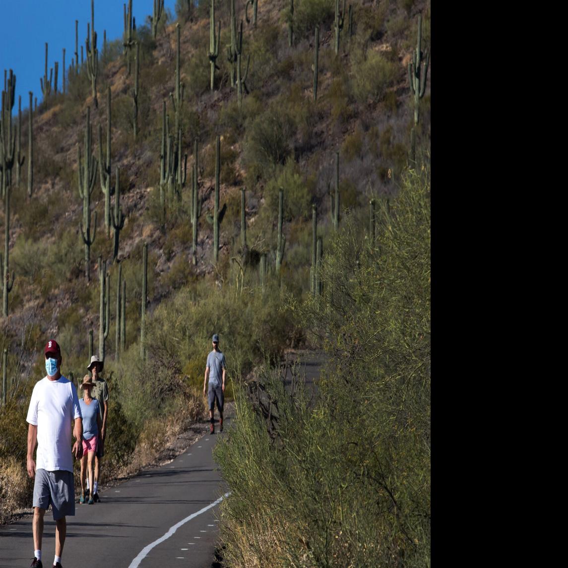 Tumamoc Hill Hiking Trail Art Exhibit On Tumamoc Hill Invites Visitors To Wax Poetic About Climate  Change | Local News | Tucson.com