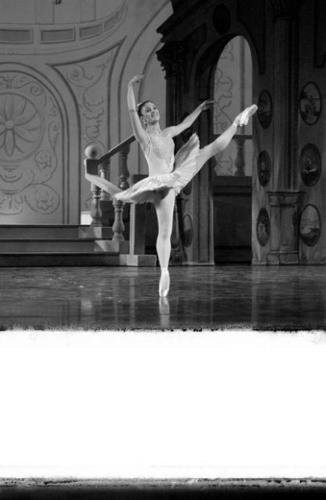 En pointe takes toll on shoes  