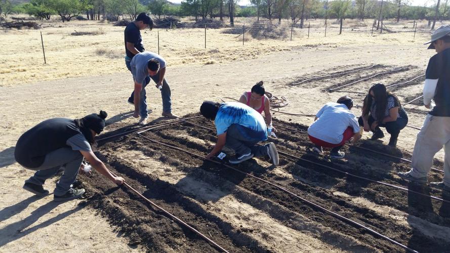 Nalwoodi Denzhone Community