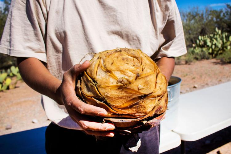 Agave roasted to make candy in Sells