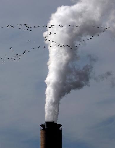 2017 Wings Over Willcox