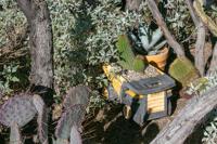 Baron home landscape