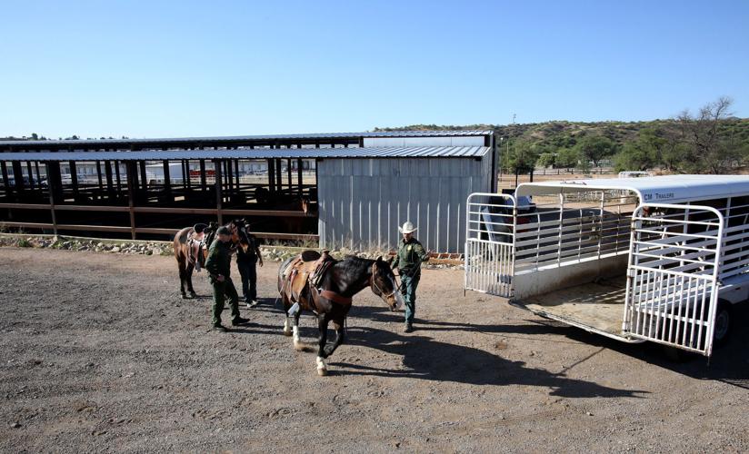 U.S. Border Patrol horse unit