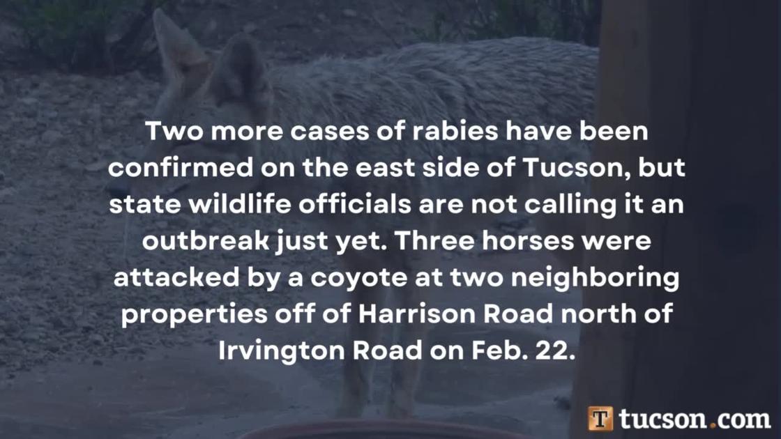 Tucson