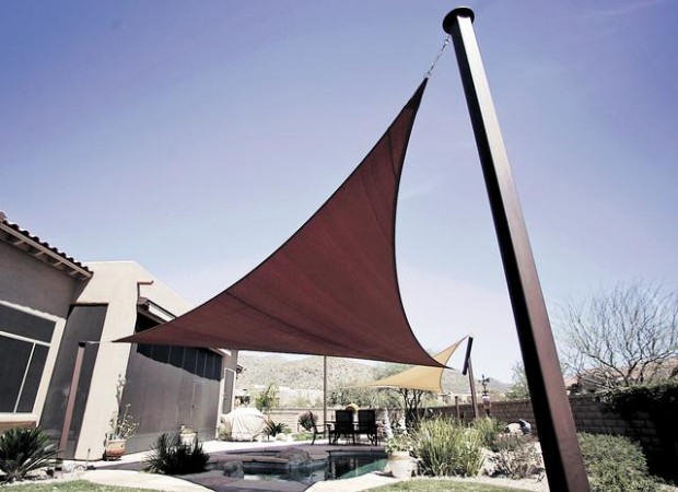 Swimming in the shade  