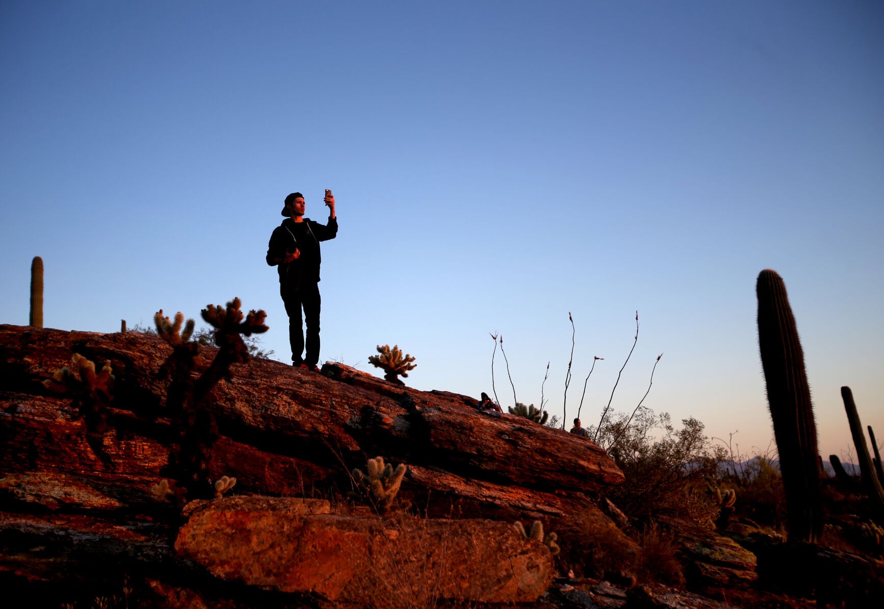Tanque Verde Ridge Trail (le)