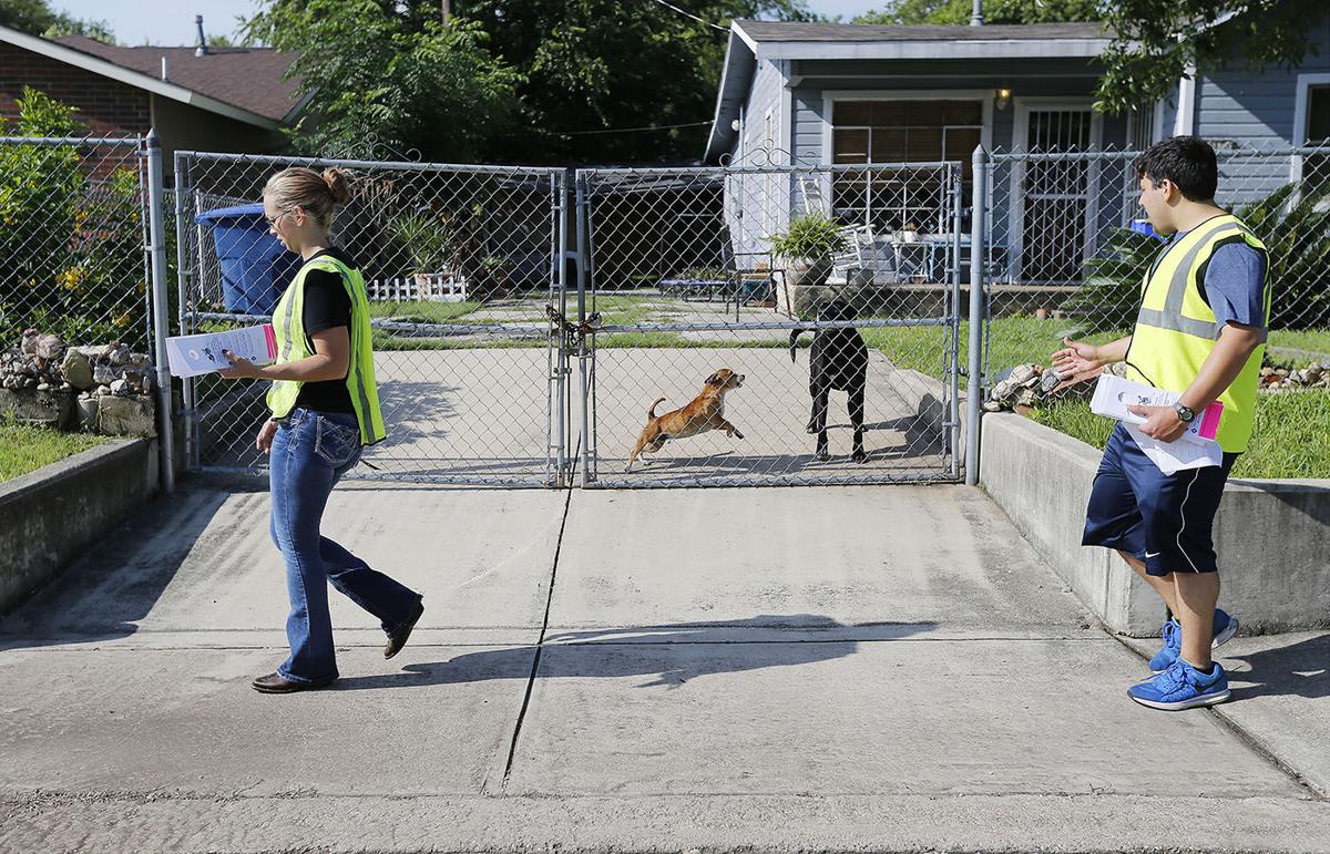 Pima Animal Care drops barking dog mediation contract
