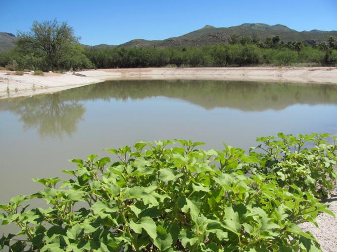 Agua Caliente secondary pond