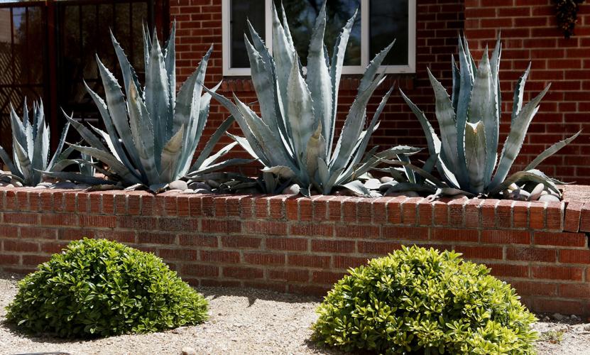 052415-hl-24 hl curb