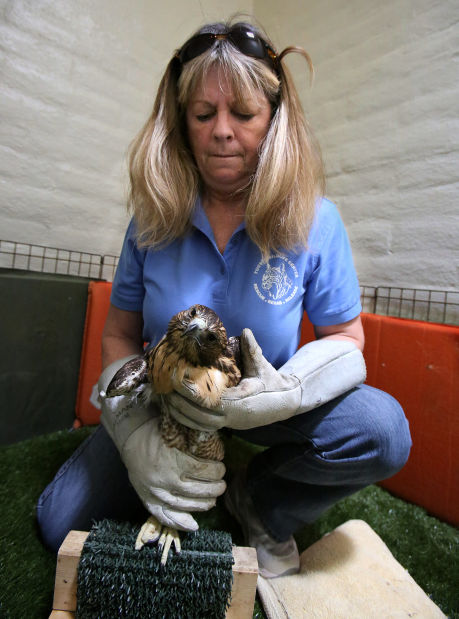 Tucson Wildlife Center