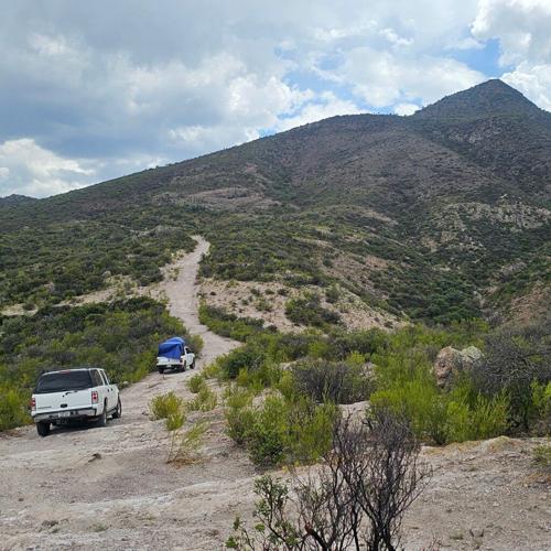 Our First Time Spring Seeking in Sierra San Diego