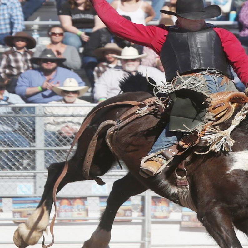 Longtime Saddle Bronc Rider Not About To Bail Out Of Event Rodeo Tucson Com