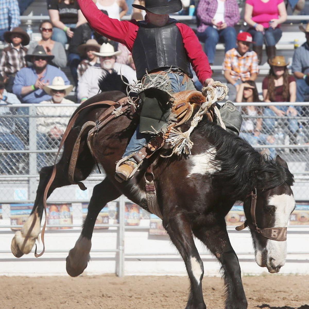 Longtime Saddle Bronc Rider Not About To Bail Out Of Event Rodeo Tucson Com