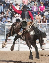 Longtime saddle-bronc rider not about to Bail out of event