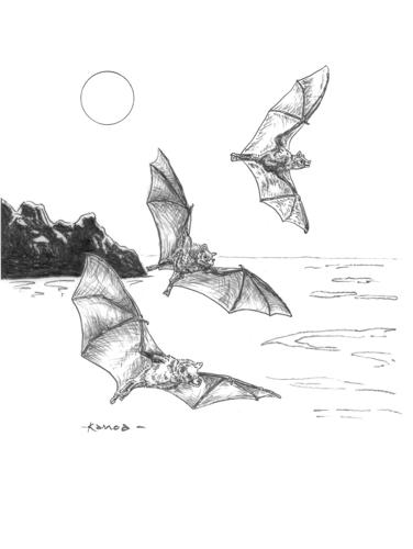 'No Species is an Island'