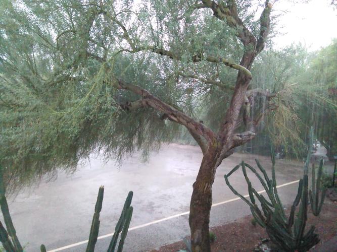 Monsoon photo contest