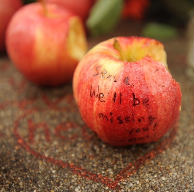 Steve Jobs tribute