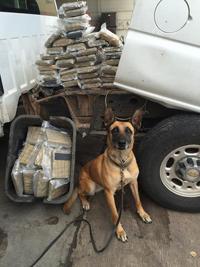 DPS: Man found with pot in gas tank