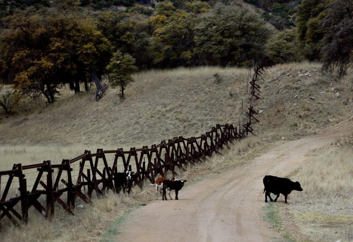 2016 Border Project: Arizona
