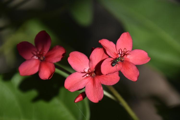 Adventures in Nature: 2016 High School Nature Photo Contest