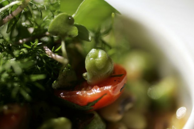 A fresh take on garbanzos  