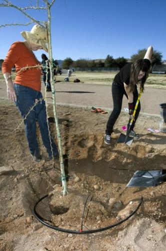 Planting trees, promoting fitness   