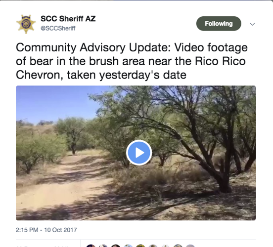 Watch: A bear is roaming Rio Rico this week
