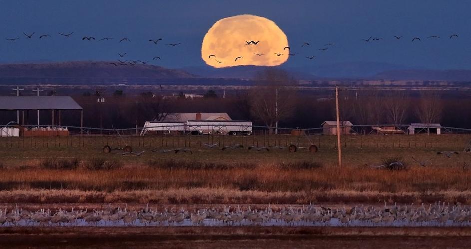 2017 Wings Over Willcox
