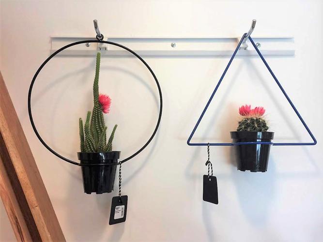 Now or Never planters