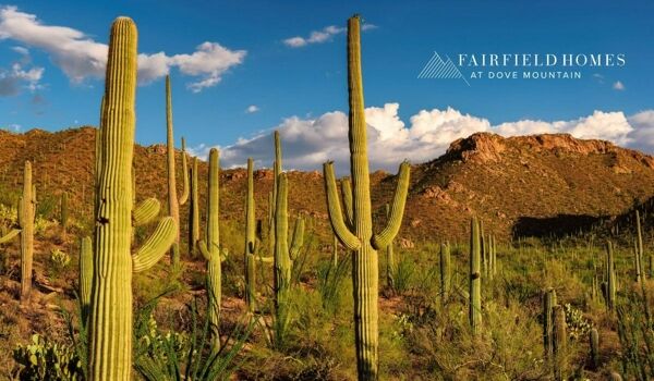 3 Bedroom Home in Marana - $2,800,000