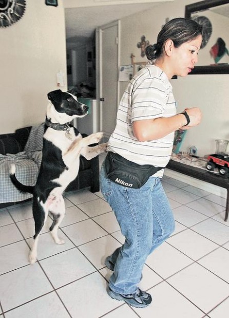 Doggies learn to dance  