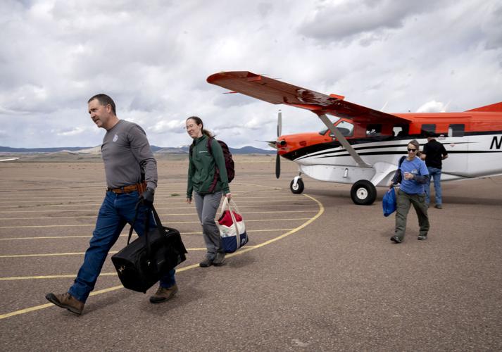 GOP lawmakers move to bar Arizona from bringing wolf pups to state