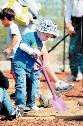 Cultivating a community  