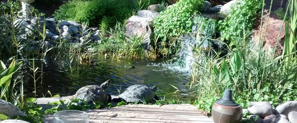 022816 SpringTours16