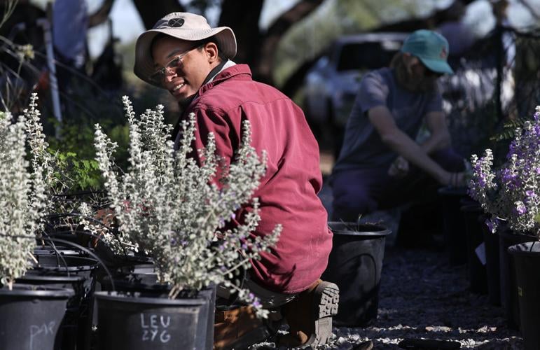 Desert Survivors Plant Nursery (copy)