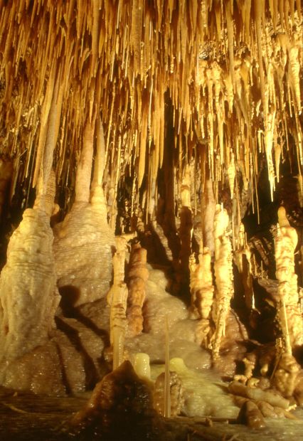 Photos Kartchner Caverns Through The Years Local News